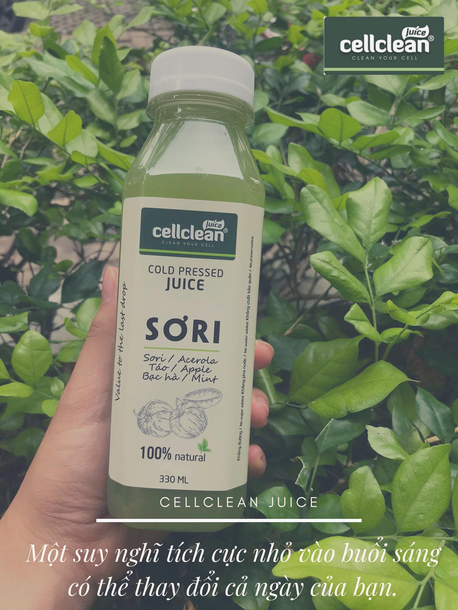 ĐẸP DA KHỎE DÁNG NHỜ CÓ NƯỚC ÉP SƠRI