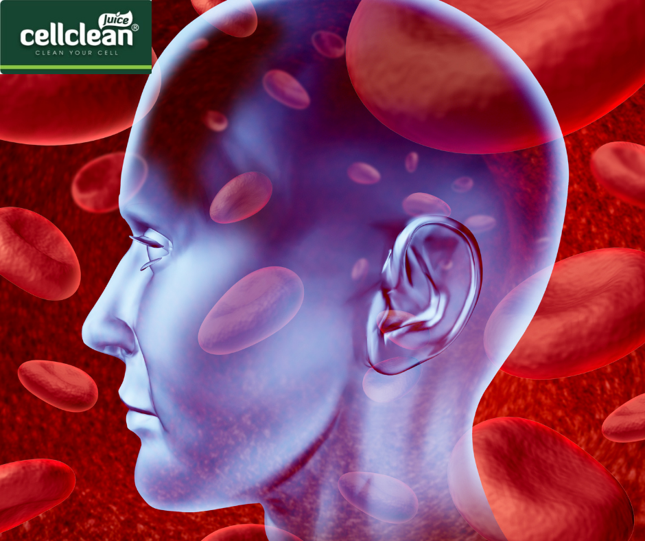 ĐỌC BÀI VIẾT NÀY ĐỂ SỐNG KHỎE HƠN MỖI NGÀY PHÒNG NGỪA TAI BIẾN NGAY TỪ HÔM NAY.