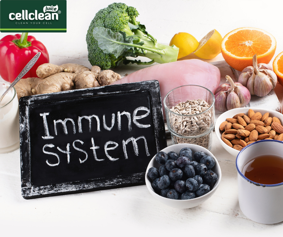 KÉO DÀI TUỔI THỌ SỐNG KHỎE SỐNG LÂU BẰNG CÁCH TĂNG CƯỜNG HỆ MIỄN DỊCH