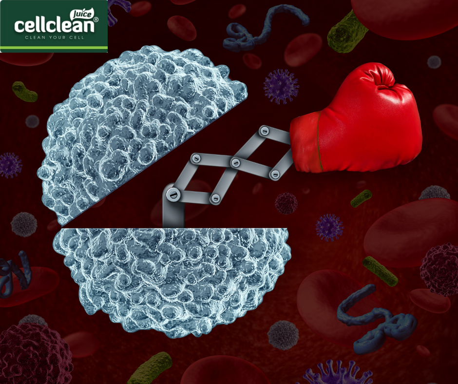 NHỮNG CÁCH TĂNG CƯỜNG HỆ MIỄN DỊCH