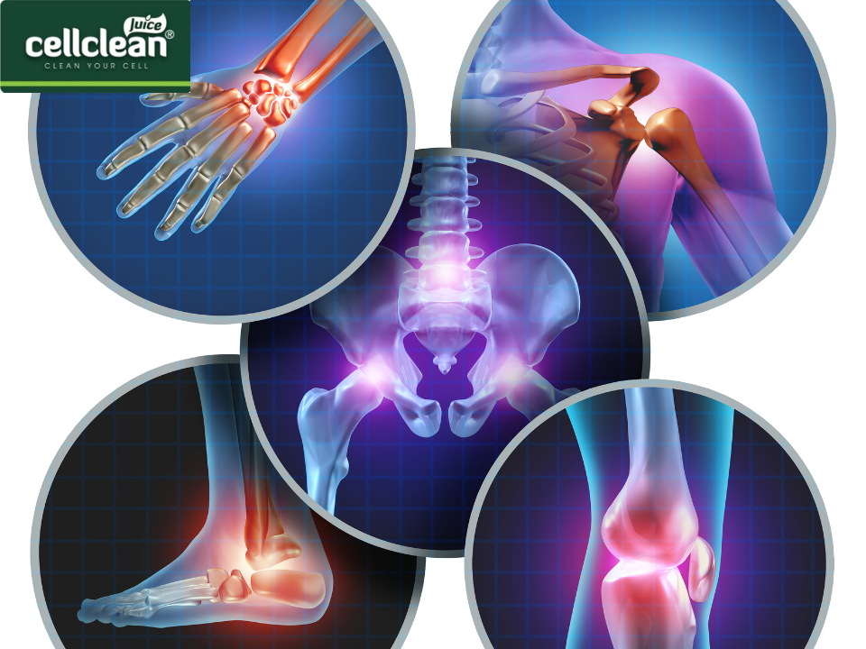 VIÊM KHỚP VÀ NHỮNG ĐIỀU BẠN CẦN PHẢI BIẾT CHO NGƯỜI THÂN CỦA MÌNH